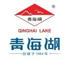 溫嶺市青海湖工具廠票務(wù)代理服務(wù) 企業(yè)多元化經(jīng)營的新探索